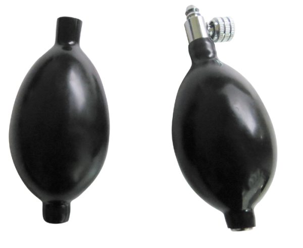 bulbs